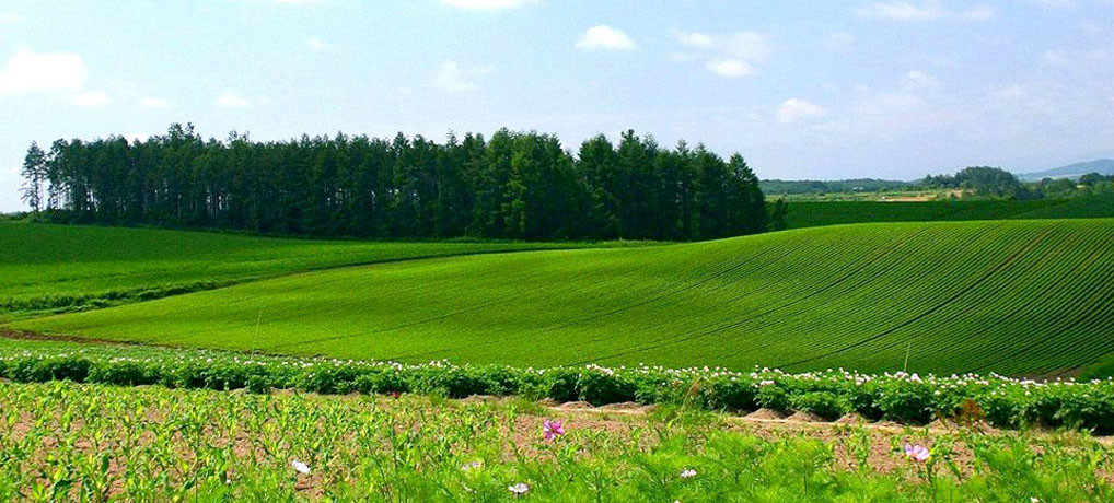 Оцінка земельних ділянок